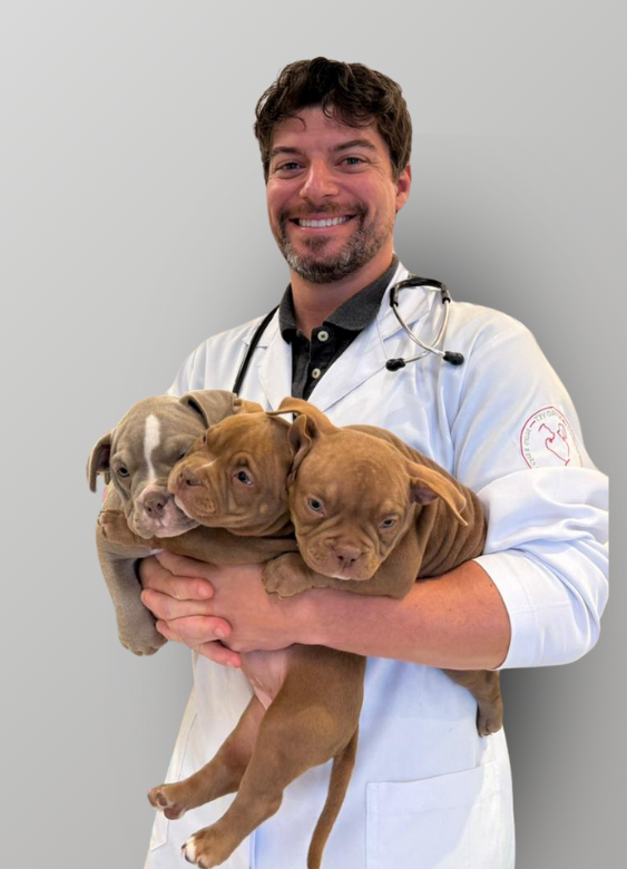 capa site veterinario